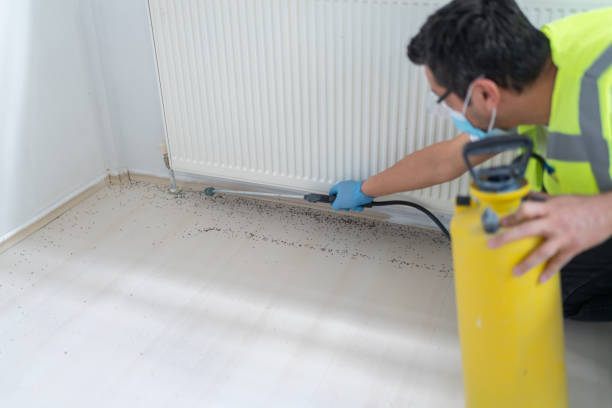 Professional Pest Control in Bethany, WV