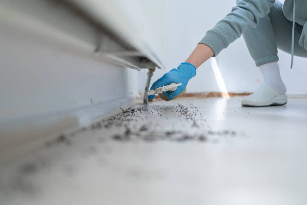 Best Residential Pest Control  in Bethany, WV